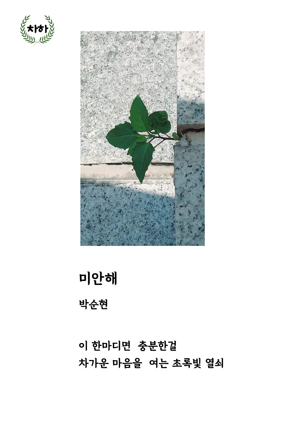 미안해_박순현_차하.jpg